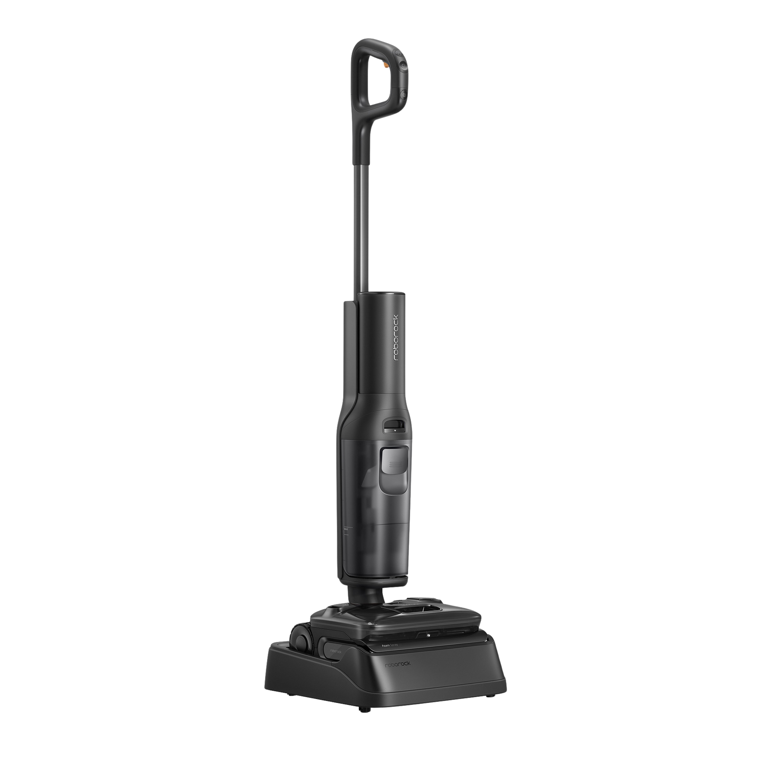 Roborock F25 ACE Pro