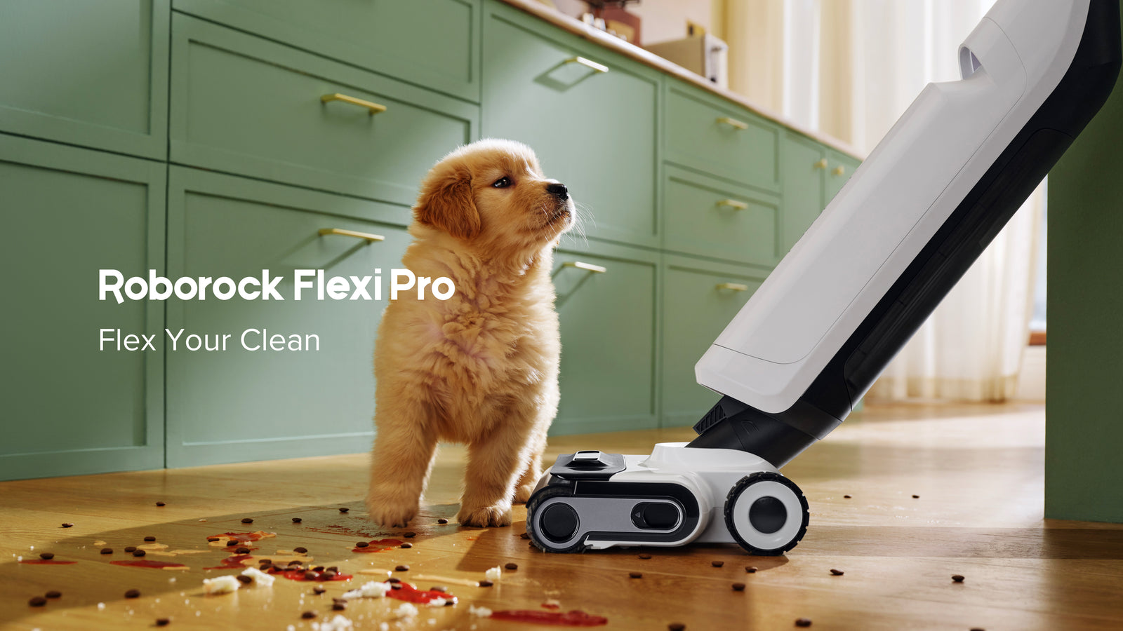 Roborock Flexi Pro